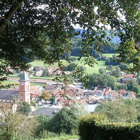 Ferienwohnung Sonnenterrasse Elzach Exterior foto